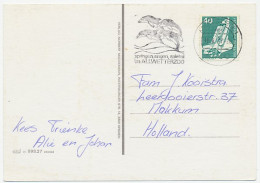 Card / Postmark Germany 1977 Dolphin - Zoo Munster - Andere & Zonder Classificatie
