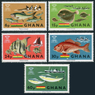 Ghana 251-255, 254a, MNH. Mi 261-265, Bl.21. FAO 1966. Fish, Fishing, Trawler, - Voorafgestempeld