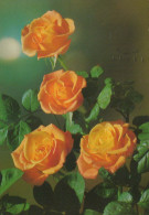 FLOWERS Vintage Ansichtskarte Postkarte CPSM #PAS542.DE - Fleurs