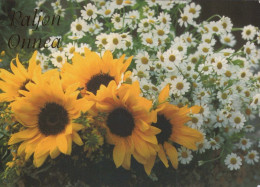 FLOWERS Vintage Ansichtskarte Postkarte CPSM #PAS482.DE - Blumen