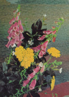 FLOWERS Vintage Ansichtskarte Postkarte CPSM #PAR581.DE - Blumen