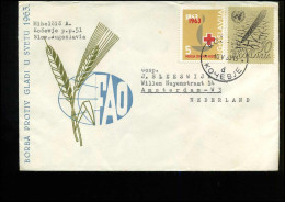Cover From Yugoslavia To Amsterdam, Netherlands - Lettres & Documents