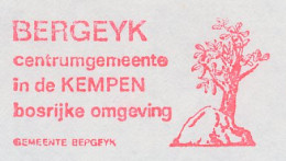 Meter Cover Netherlands 1989 Tree - Oak - Bergeijk - Bäume