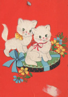 KATZE MIEZEKATZE Tier Vintage Ansichtskarte Postkarte CPSM #PAM325.DE - Chats