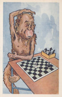 SCIMMIA Animale Vintage Cartolina CPA #PKE771.IT - Singes