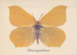 FARFALLA Animale Vintage Cartolina CPSM #PBS438.IT - Schmetterlinge