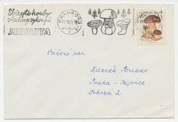 Cover / Postmark Czechoslovakia1961 Collect Mushrooms - Paddestoelen