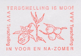 Meter Cut Netherlands 1991 Cranberry - Terschelling - Frutta