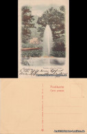 Ansichtskarte Bad Harzburg Fontaine Unter Den Eichen 1899 - Bad Harzburg