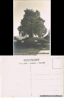 Postcard Balholmen Kong Beles Gravhaug 1909  - Norway