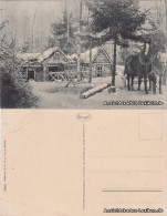 Ansichtskarte  Winterpartie - Kolonie Neu-Schlieben 1917  - A Identificar