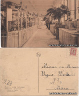 Postkaart Antwerpen Anvers Zoologischer Garten - Reptilien 1918  - Altri & Non Classificati