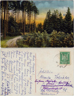 Ansichtskarte  Waldweg 1935 - Unclassified