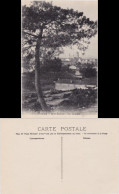Saint-Raphaël Vue Génerale 1919 - Autres & Non Classés