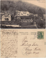 Ansichtskarte Ruhla Partie Am Hotel Bellevue 1906  - Other & Unclassified