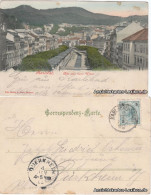 Karlsbad Karlovy Vary Alte Und Neue Wiese (Handcolorierte Künstlerkarte) 1902  - Tchéquie