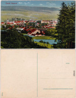 Postcard Böhmisch Trübau Česká Třebová Blick Auf Die Stadt 1918  - Tchéquie