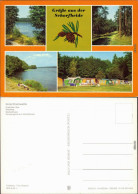 Schorfheide Großväter-See, Waldweg, Werbellinsee, Campingplatz Am  1984 - Other & Unclassified