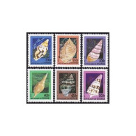 Guinea 1999 Year,6 Stamps,souvenir Sheet,MNH. Shells. - Guinea (1958-...)