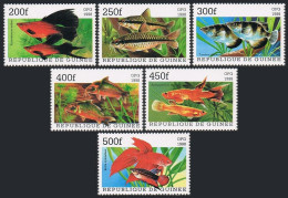 Guinea 1999 Year,6 Stamps + Sheet,MNH. Fish. - República De Guinea (1958-...)