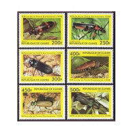 Guinea 1998 Year 6 Stamps,sheet,MNH. Beetles,Flowers. - Guinée (1958-...)