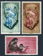 Spanish Guinea 343,B35-B36,MNH. Monkey 1955.Red-eared Guenons. - Guinee (1958-...)