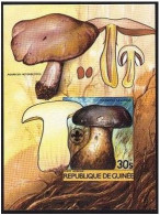 Guinea 924 Imperf,MNH.Michel 1025 Bl.128B. Fungi 1985.Phlebopus Sylvaticus. - Guinée (1958-...)