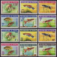 Guinea 315-324,C54-C55,MNH.Michel 214-225. Fish 1964. - Guinée (1958-...)