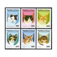 Guinea 1431-1436, 1437 Sheet, MNH. Domestic Cats, 1998. - Guinée (1958-...)