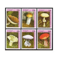 Guinea 1347-1352, 1353, MNH. Mushrooms, 1996. - Guinee (1958-...)