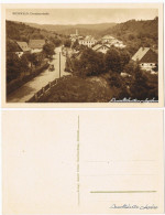 Postcard Eichwald (Erzgebirge) Dubí Dresdnerstraße 1922  - Tchéquie