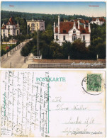 Ansichtskarte Gera Waldstrasse 1913  - Gera