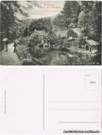 Ansichtskarte Bad Wildbad Partie In Den Enzanlagen 1914  - Other & Unclassified