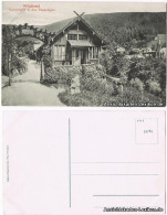 Ansichtskarte Bad Wildbad Gartenhalle In Den Enzanlagen 1913  - Autres & Non Classés