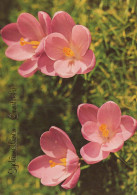 FLORES Vintage Tarjeta Postal CPSM #PAR459.ES - Flowers
