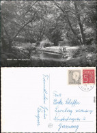 Postcard Malmö Motiv Fran Slottsparken 1964 - Sweden