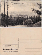 Bad Wildungen Blick Auf Die Stadt  Ansichtskarte  1912 - Bad Wildungen