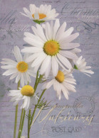 FLOWERS Vintage Ansichtskarte Postkarte CPSM #PBZ953.DE - Flowers