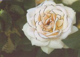 FLOWERS Vintage Ansichtskarte Postkarte CPSM #PBZ589.DE - Bloemen