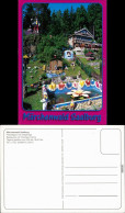 Ansichtskarte Saalburg-Ebersdorf (Saale) Freizeitpark Mit Tiergehege 2002 - Other & Unclassified
