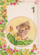 KATZE MIEZEKATZE Tier Vintage Ansichtskarte Postkarte CPSM #PBQ866.DE - Chats