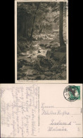 Ansichtskarte Braunlage Bodetal 1927 - Braunlage