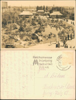 Charlottenburg-Berlin Sommerblumen Am Funkturm Japanischer Garten 1941 - Charlottenburg