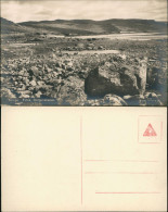 Postcard Finse Totale, Norge Hordaland 1915 - Norvegia
