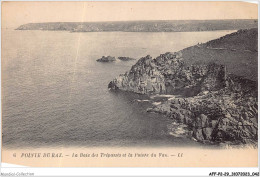 AFFP2-29-0103 - POINTE DU RAZ - La Baie Des Trépassés Et La Pointe Du Van  - La Pointe Du Raz