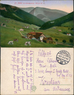 Sankt Peter Spindlermühle Špindlerův Mlýn  Ort 1915  Gel. Feldpost Breslau - Tchéquie