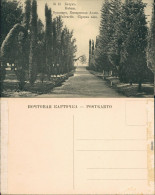 Ansichtskarte Batumi ბათუმი Батуми Parkanlage - Allee 1911 - Georgië