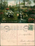 Ansichtskarte Chemnitz Alpenrosen-Partie Im Küchwald. 1909 - Chemnitz