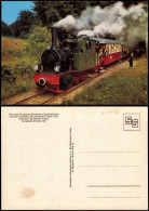 Museums-Eisenbahn   Bruchhausen-Vilsen Und Asendorf (Grafschaft Hoya) 1970 - Trains