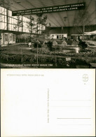 Ansichtskarte Berlin Internationale Grüne Woche: Max Frey 1968 - Other & Unclassified